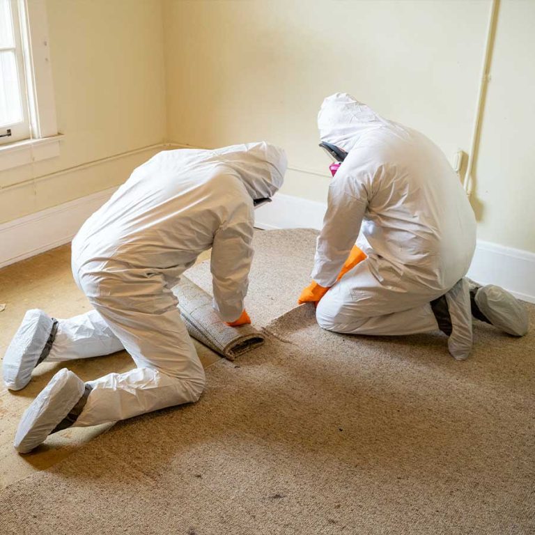 Workers removing carpeting